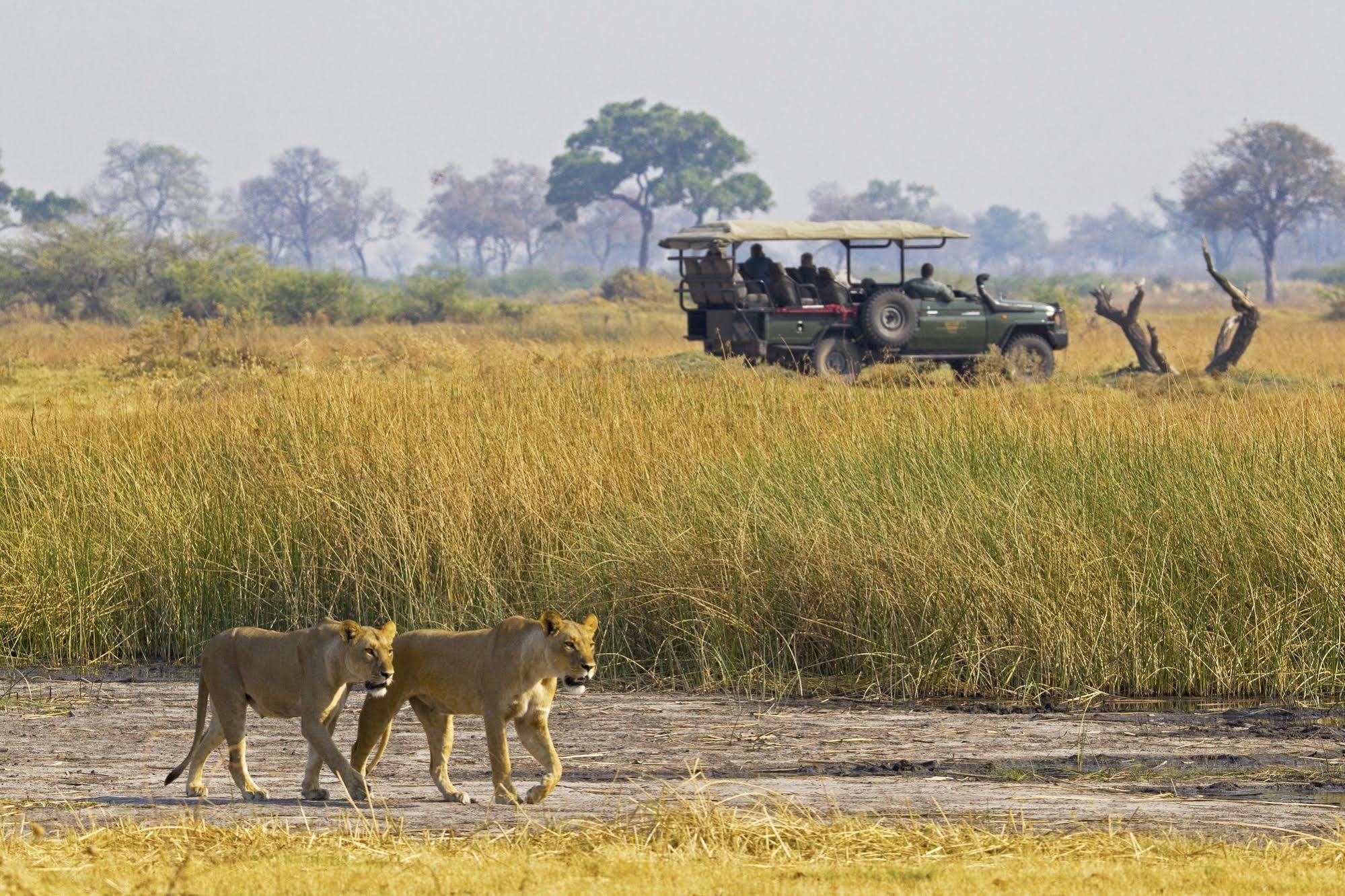 ホテル Selinda Camp Selinda Reserve エクステリア 写真