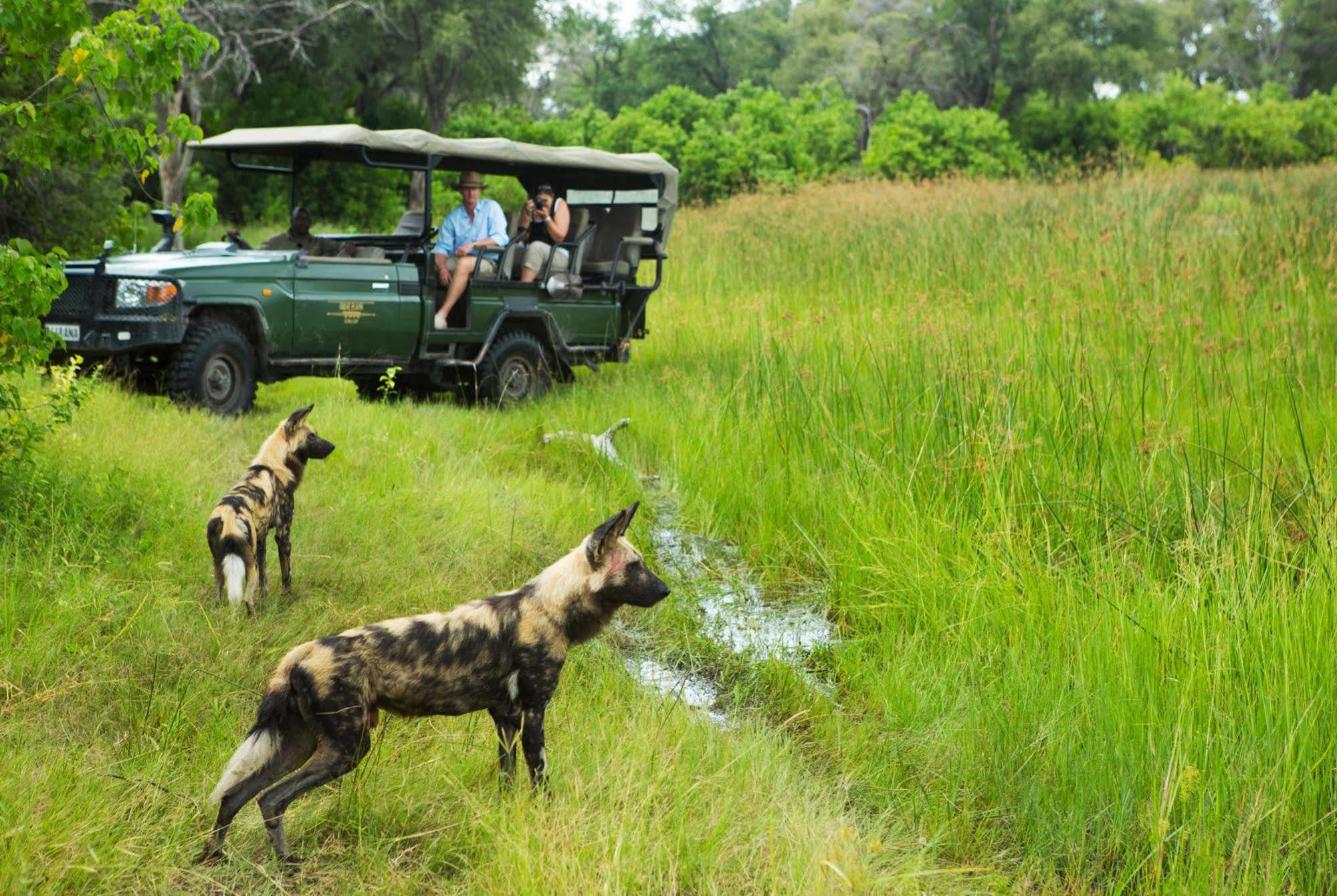 ホテル Selinda Camp Selinda Reserve エクステリア 写真